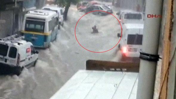 Salih Erkek Yazdı...