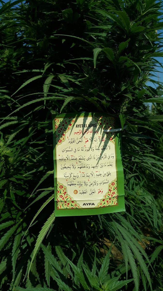 Kötü Emellerine Duayı Alet Ettiler