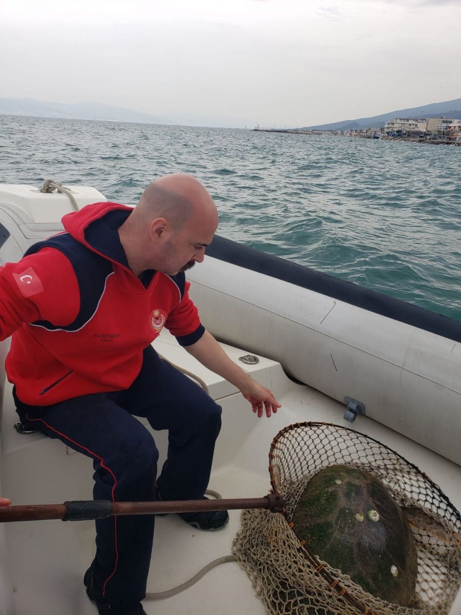 Yaralı Caretta caretta için İzmir İtfaiyesi zamanla yarıştı