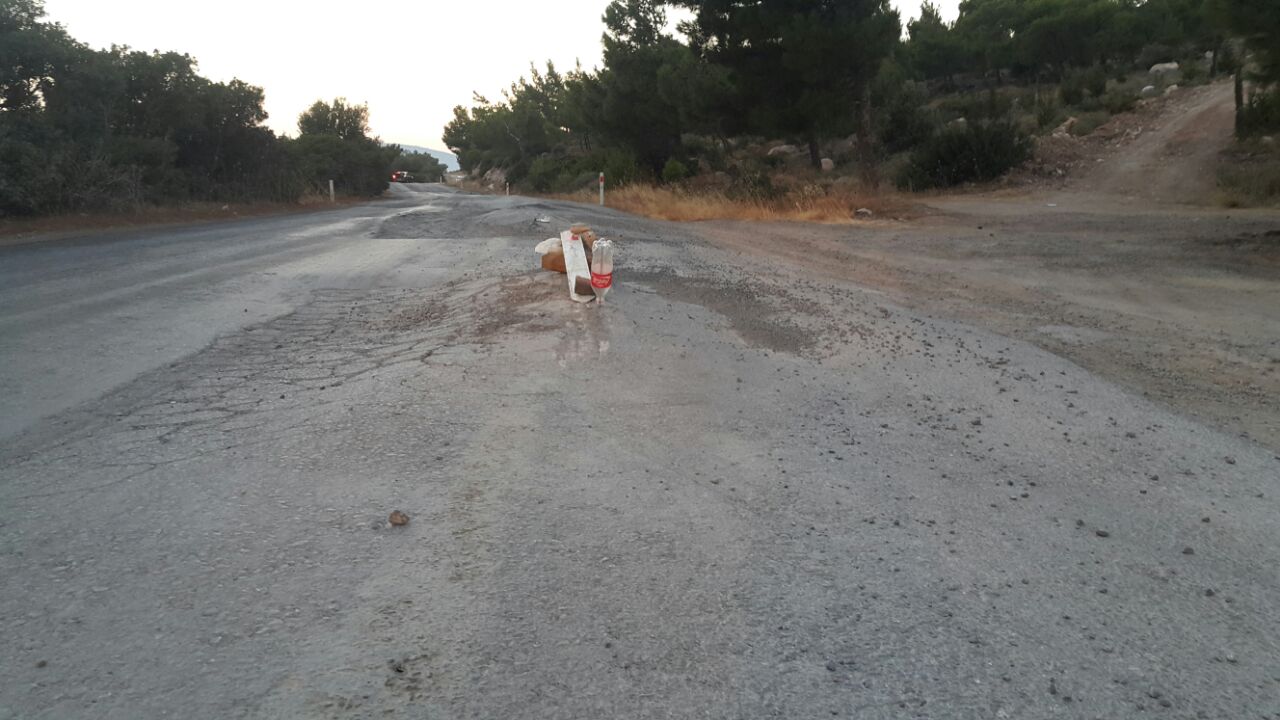 Biri Bu Yolla İlgilenecek Mi?