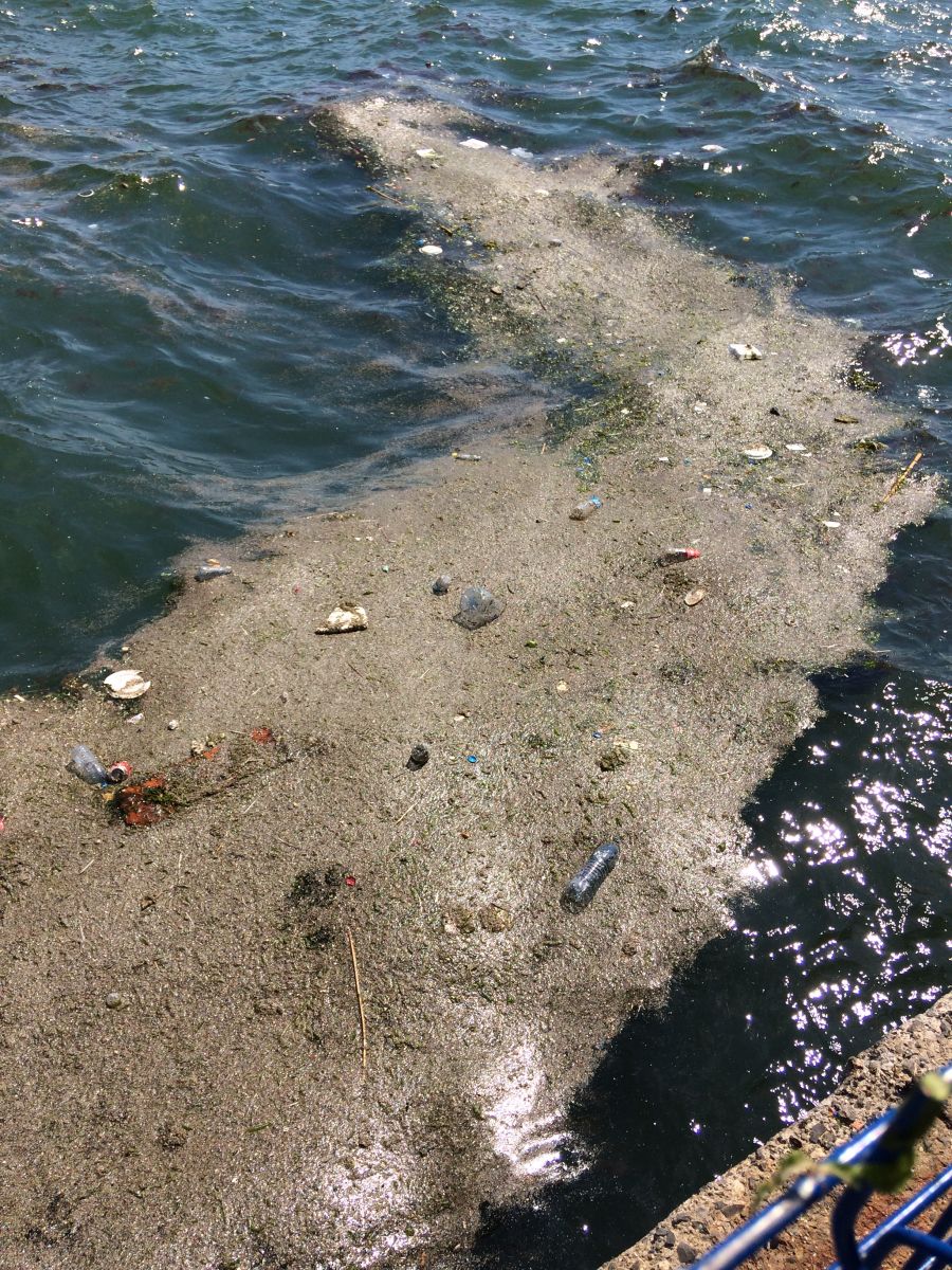 Salih Erkek Yazdı...