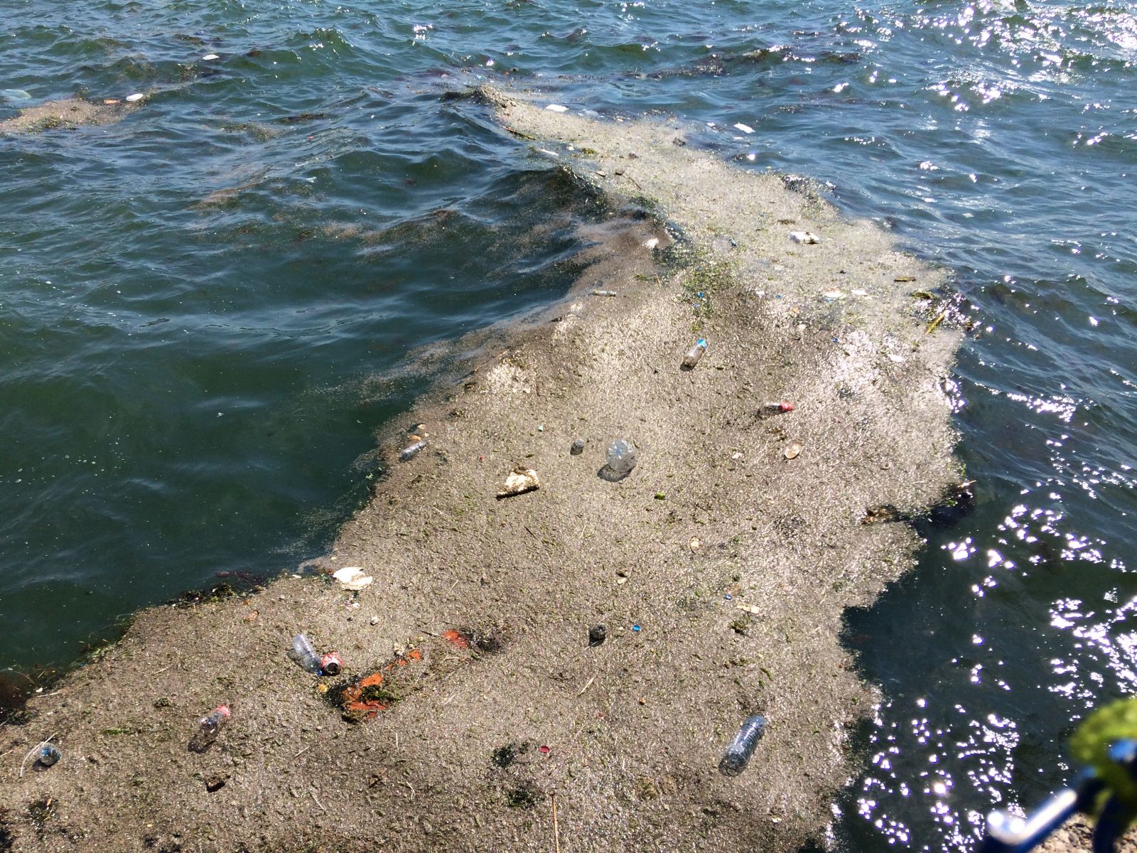 Salih Erkek Yazdı...