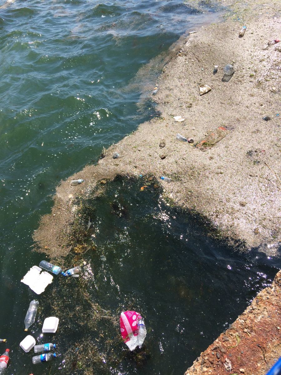 Salih Erkek Yazdı...