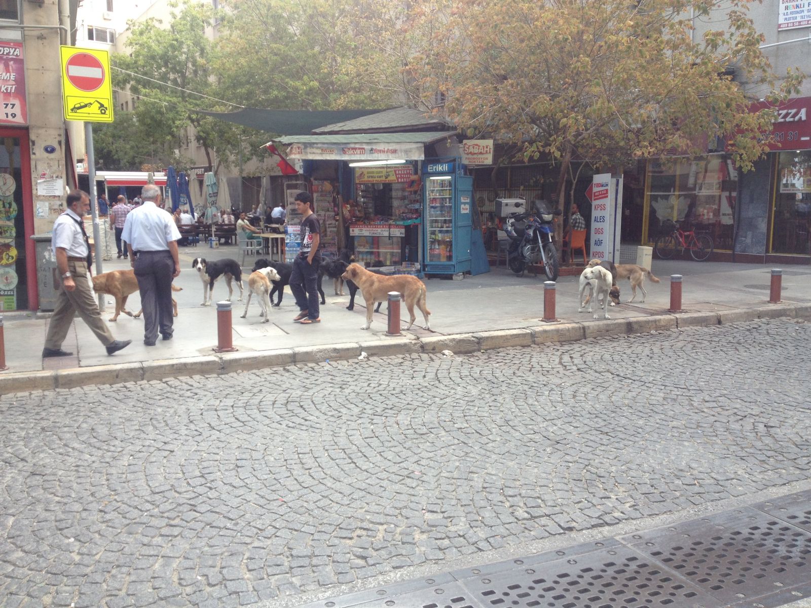 Konak meydanı barınağa döndü...