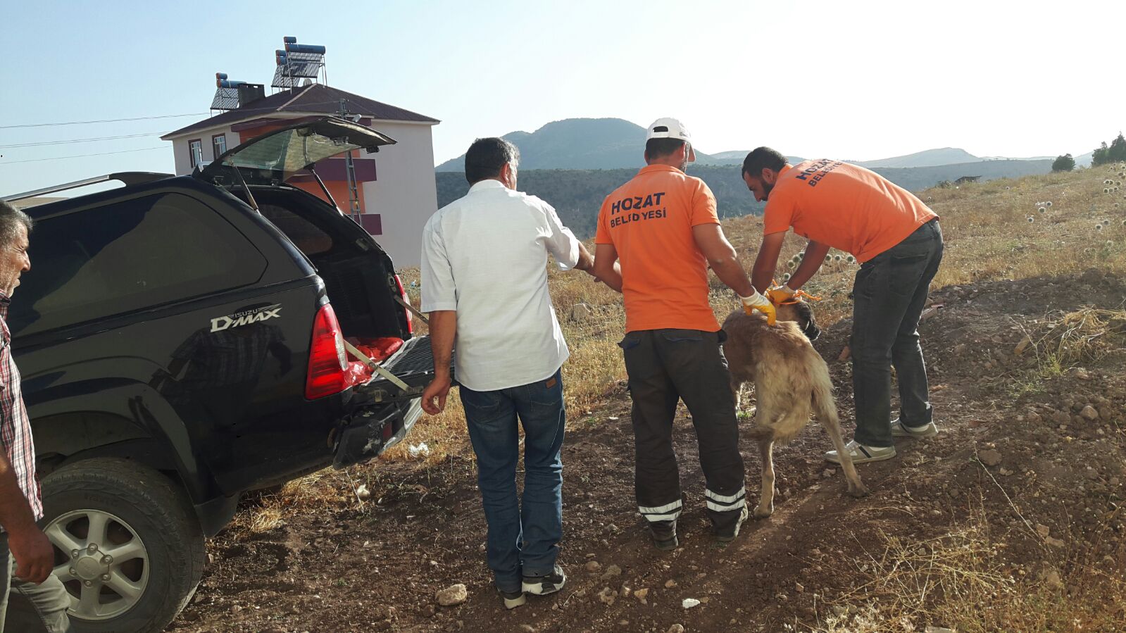 Makam Aracını Yaralı Hayvana Tahsis Etti!