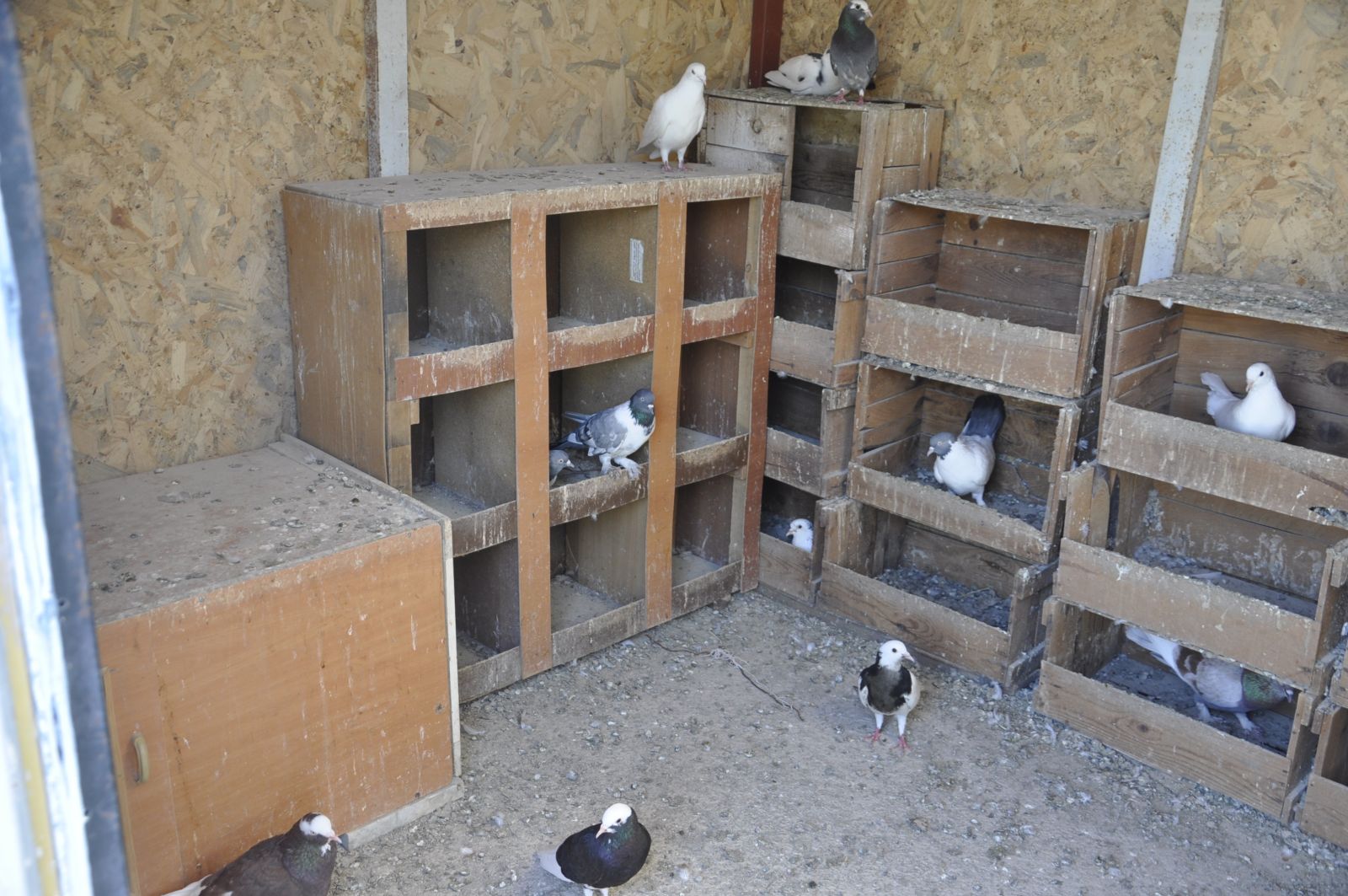 Burası Cennette Bir Köşe Gibi...