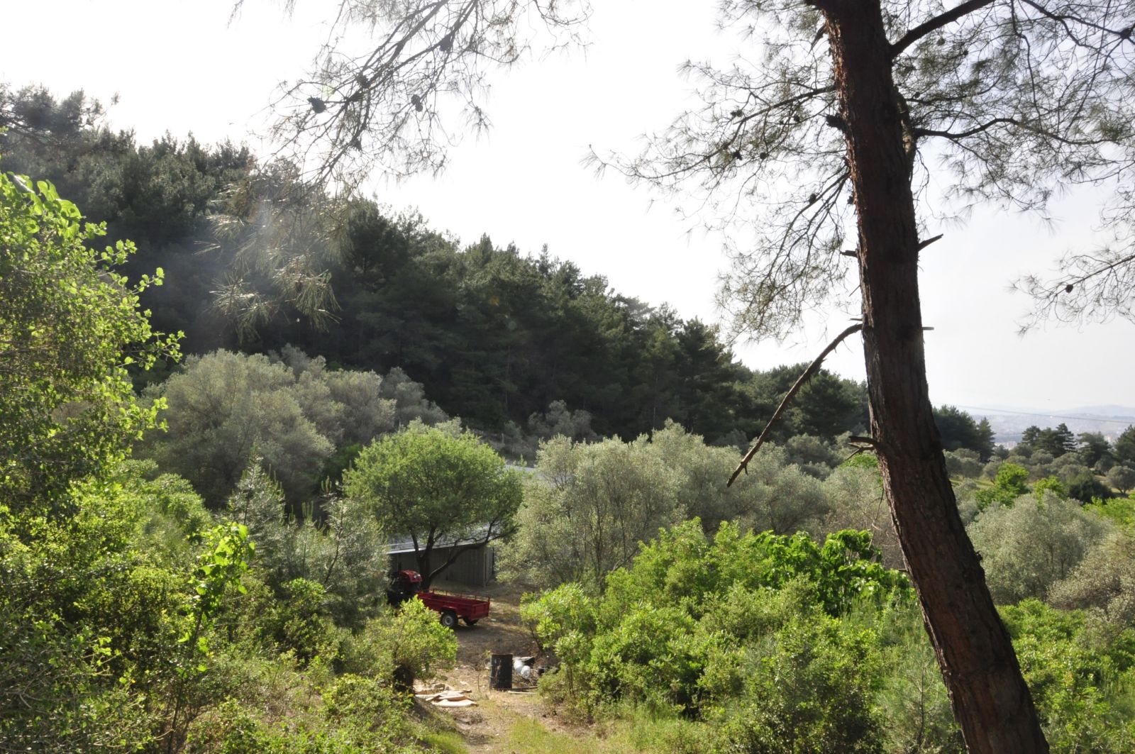 Burası Cennette Bir Köşe Gibi...