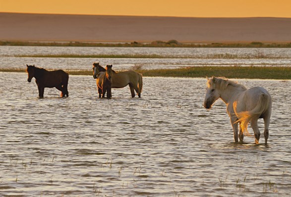 Dünyanın 4. büyük gölü olan Aral Gölü tamamen kurudu