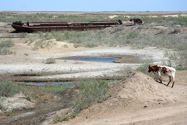 Dünyanın 4. büyük gölü olan Aral Gölü tamamen kurudu
