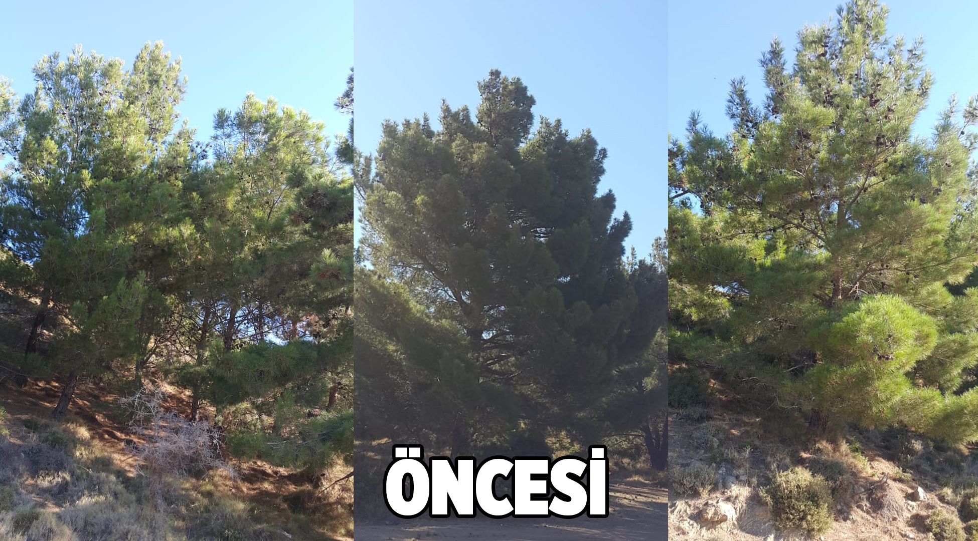 Salih Erkek Yazdı... DEVLET DEVLETLİĞİNİ BİL