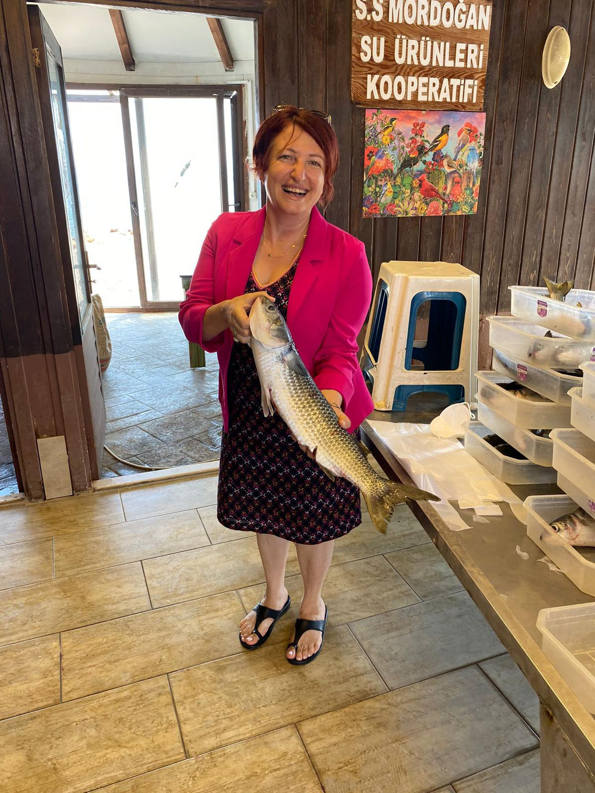 “Ben de Derya’nın kuzusuyum…”