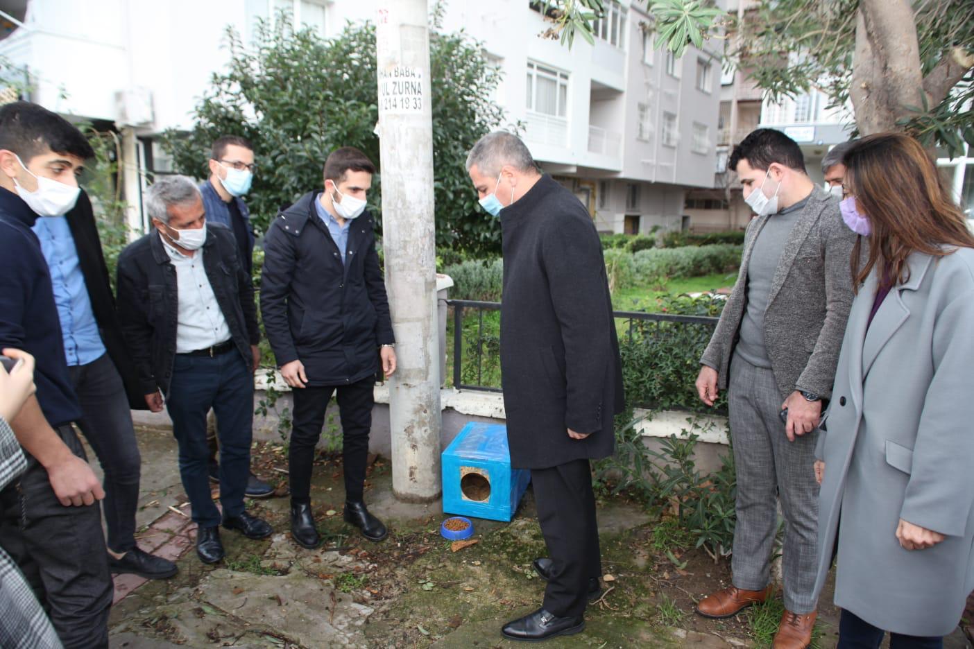 AK Bayraklı’dan sokak hayvanları için kampanya