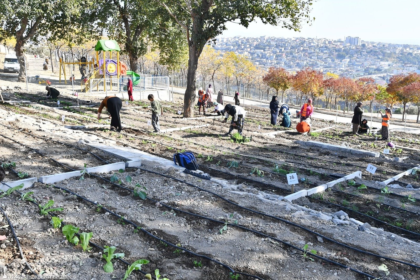Mahalle Bostanı'nda kış sebzelerinin ekimi başladı