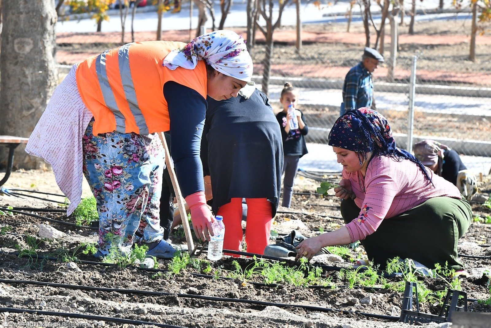 Mahalle Bostanı'nda kış sebzelerinin ekimi başladı