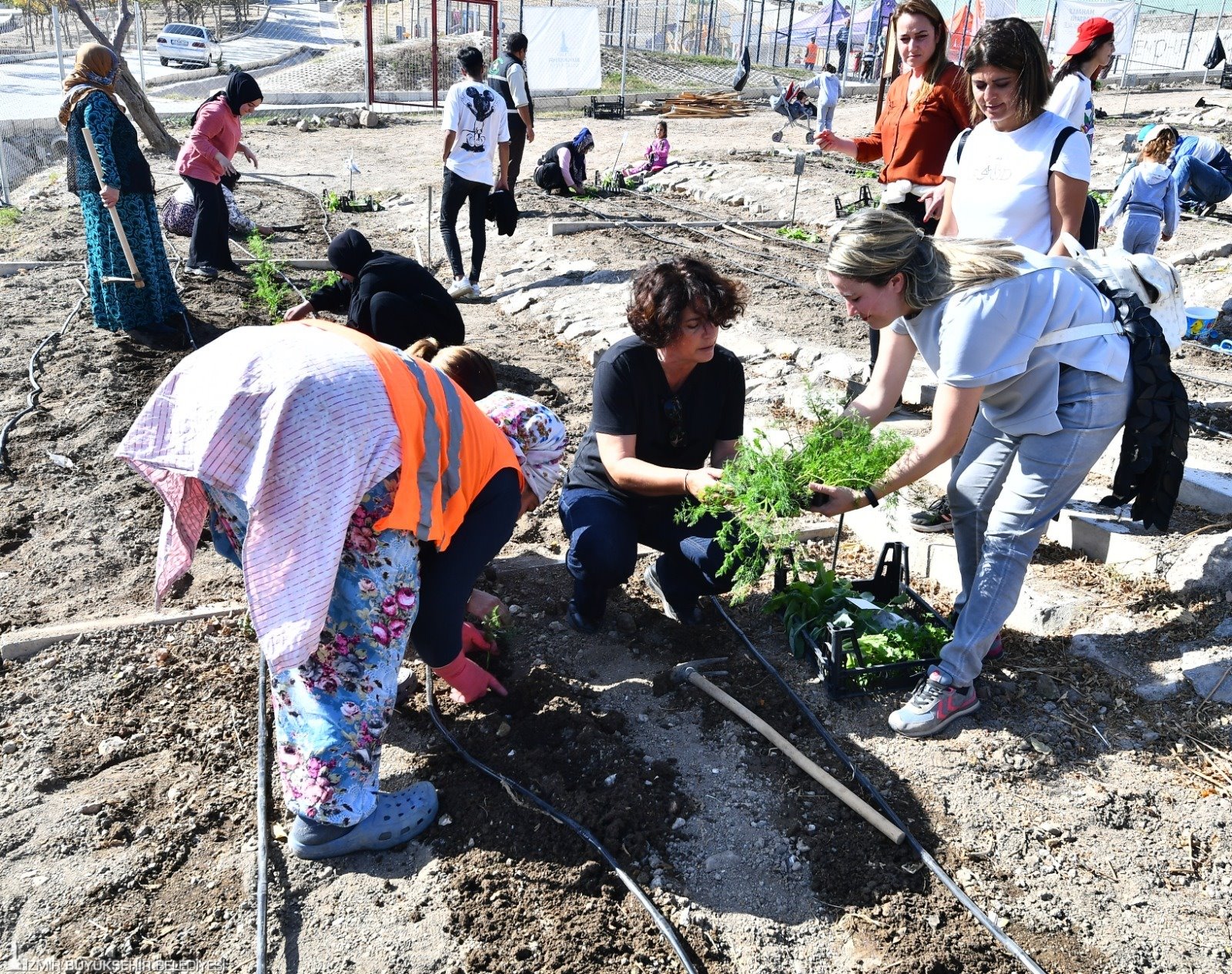 Mahalle Bostanı'nda kış sebzelerinin ekimi başladı