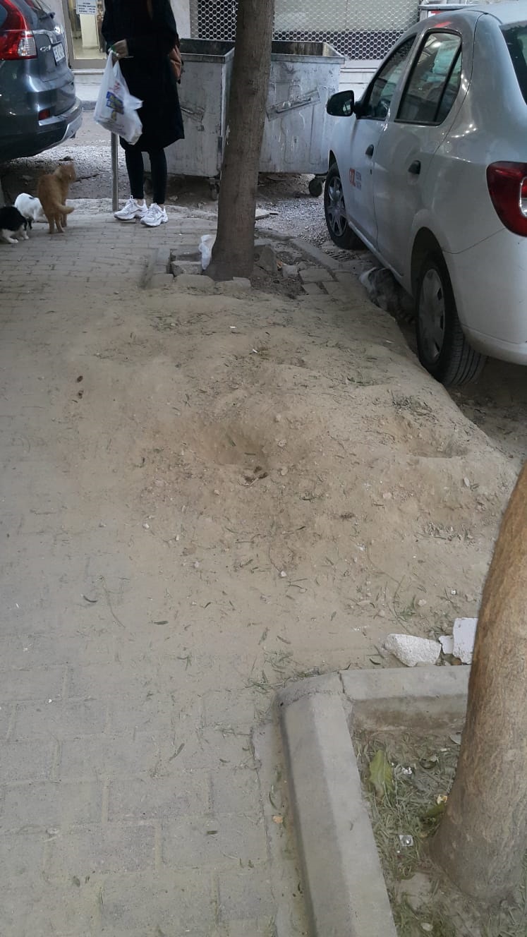 Salih Erkek Yazdı...