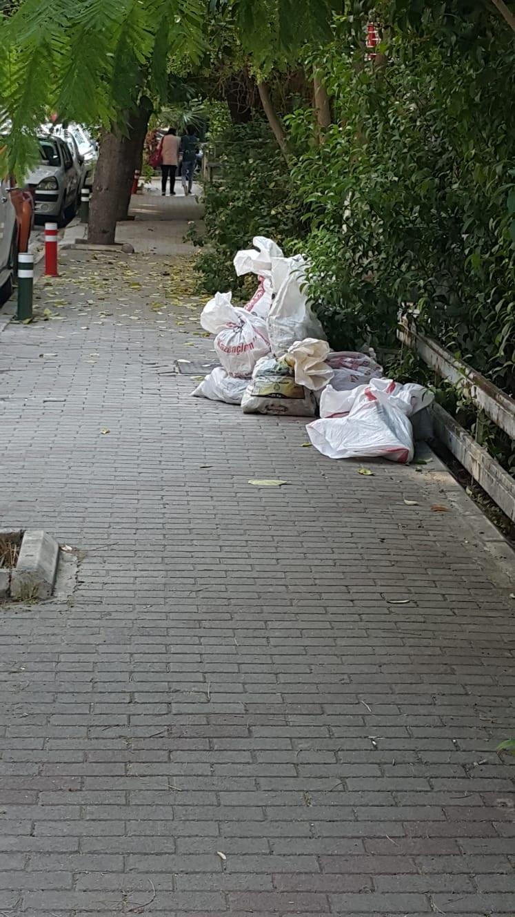 Salih Erkek Yazdı...