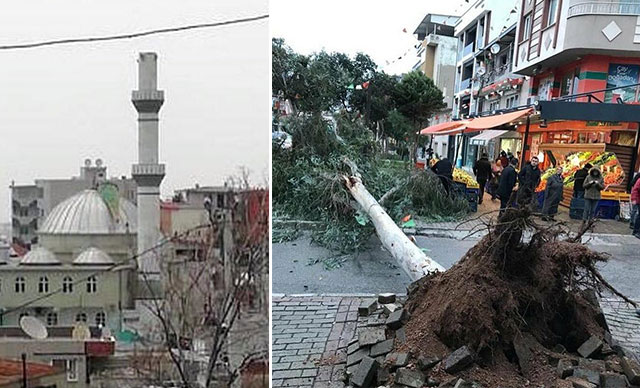 İzmir'de fırtına nedeniyle ağaçlar devrildi, çatılar uçtu