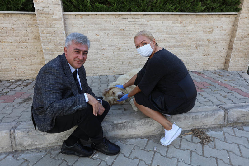 Hayvan Dostu Gündüz Çiftine Başkandan ‘İnce’ Ziyaret