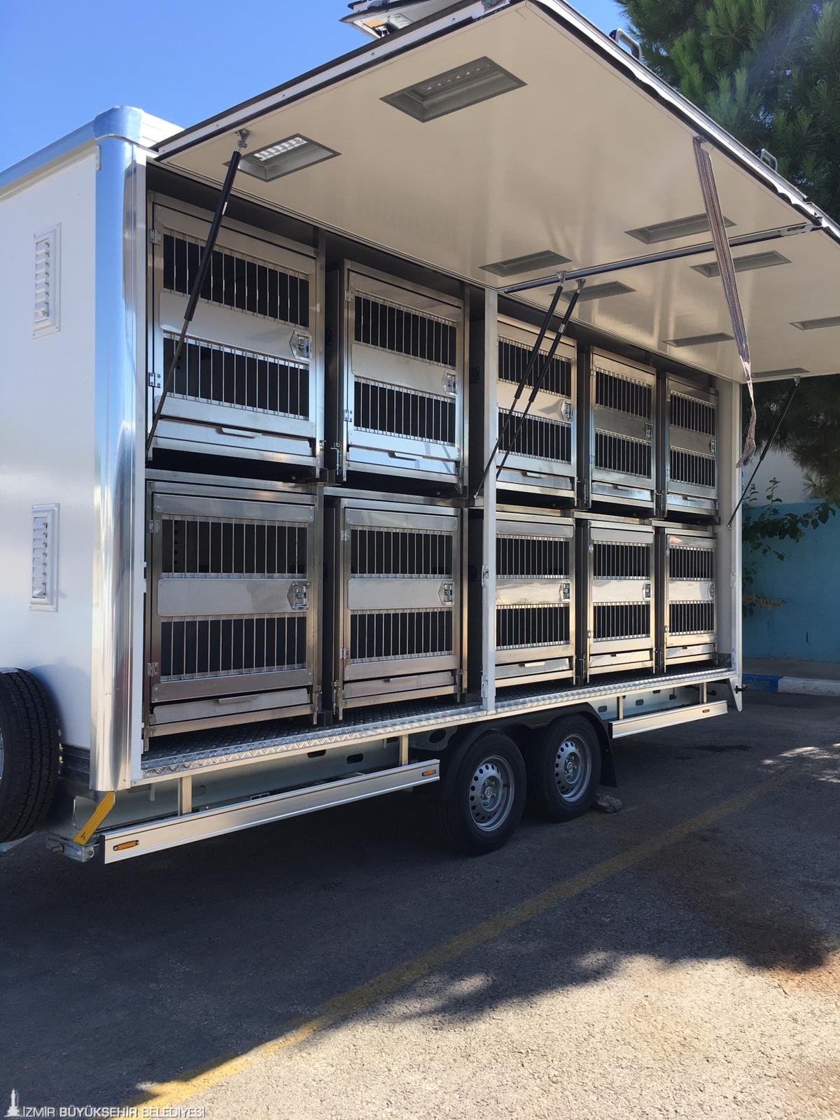 Büyükşehir can dostlar için çalışıyor