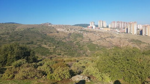 Başkan Selvitopu’ndan TOKİ ihalesi çıkışı: Dava açmazsak yanlış olur!