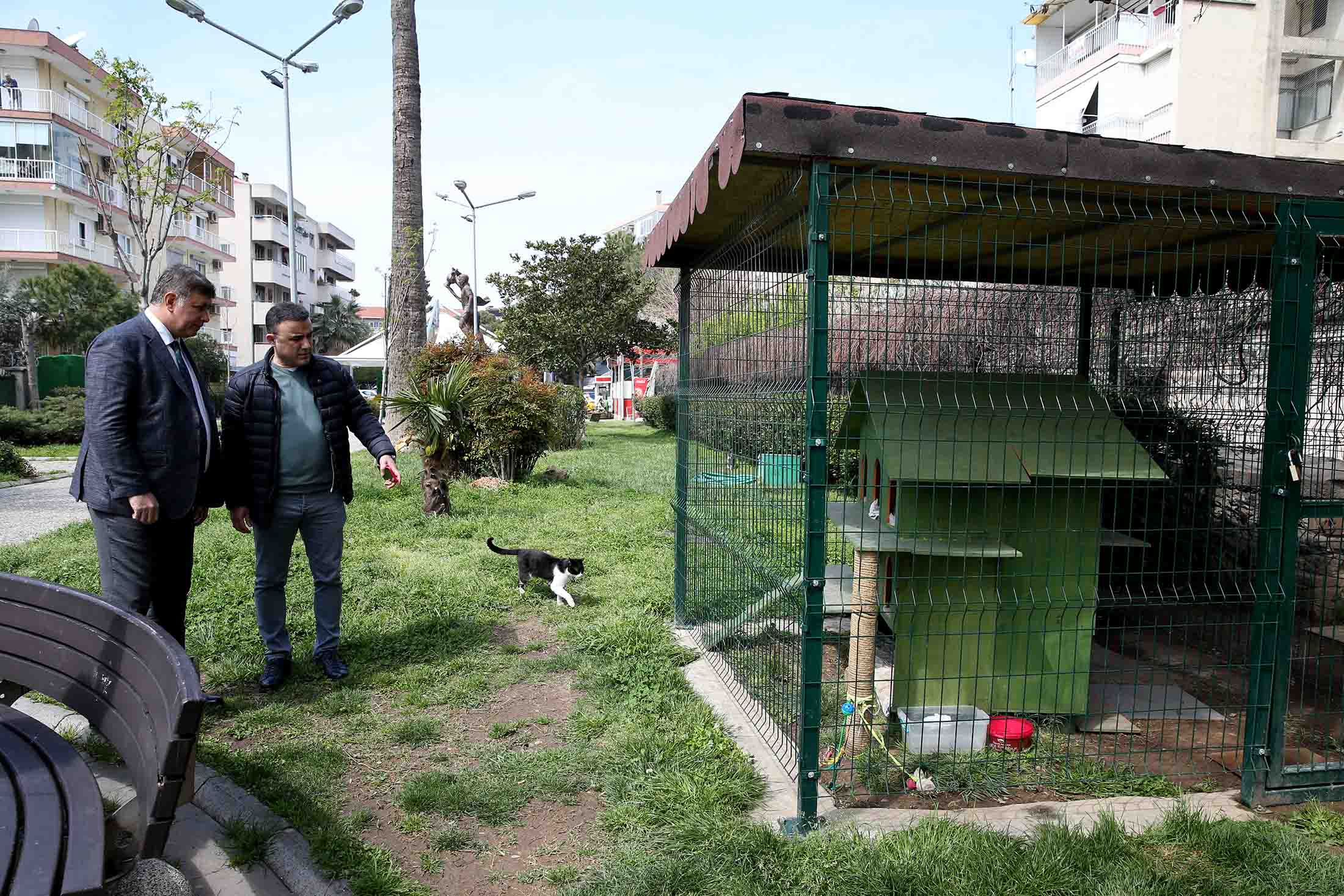Can dostları ‘ev’lendirecek proje: KediYaka