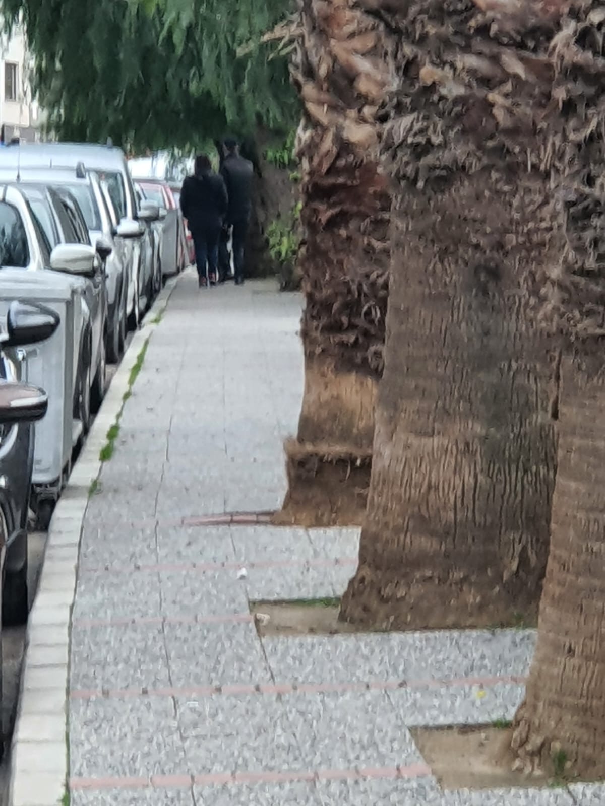 Salih Erkek Yazdı...