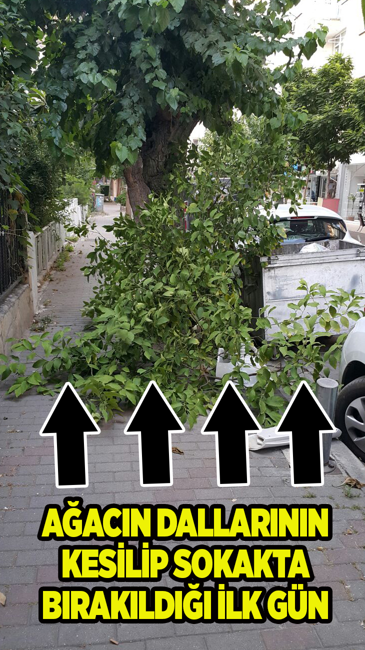 BİRİ ÖLSE BEDELİNİ KİM ÖDEYECEK?