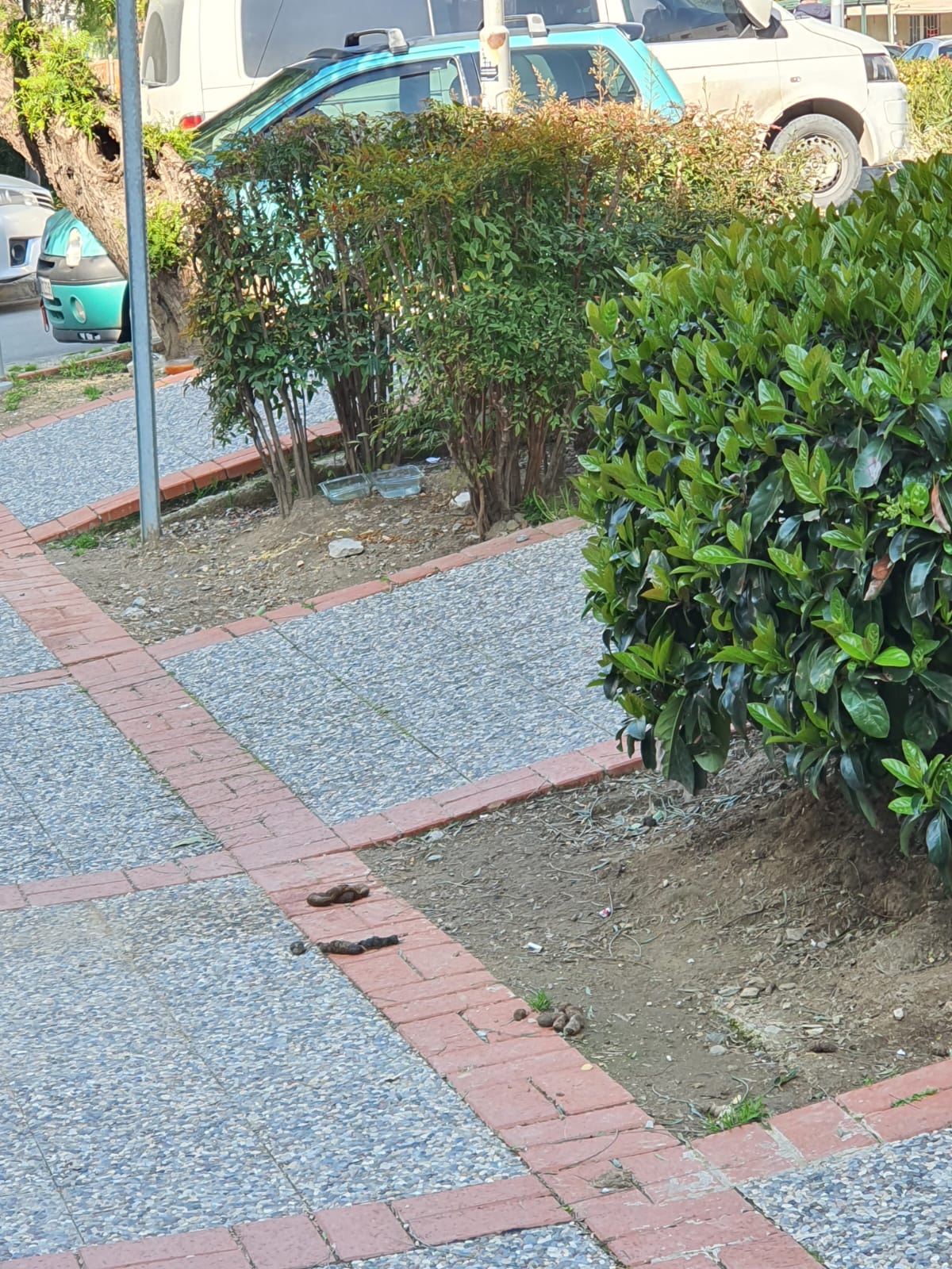 Salih Erkek Yazdı...