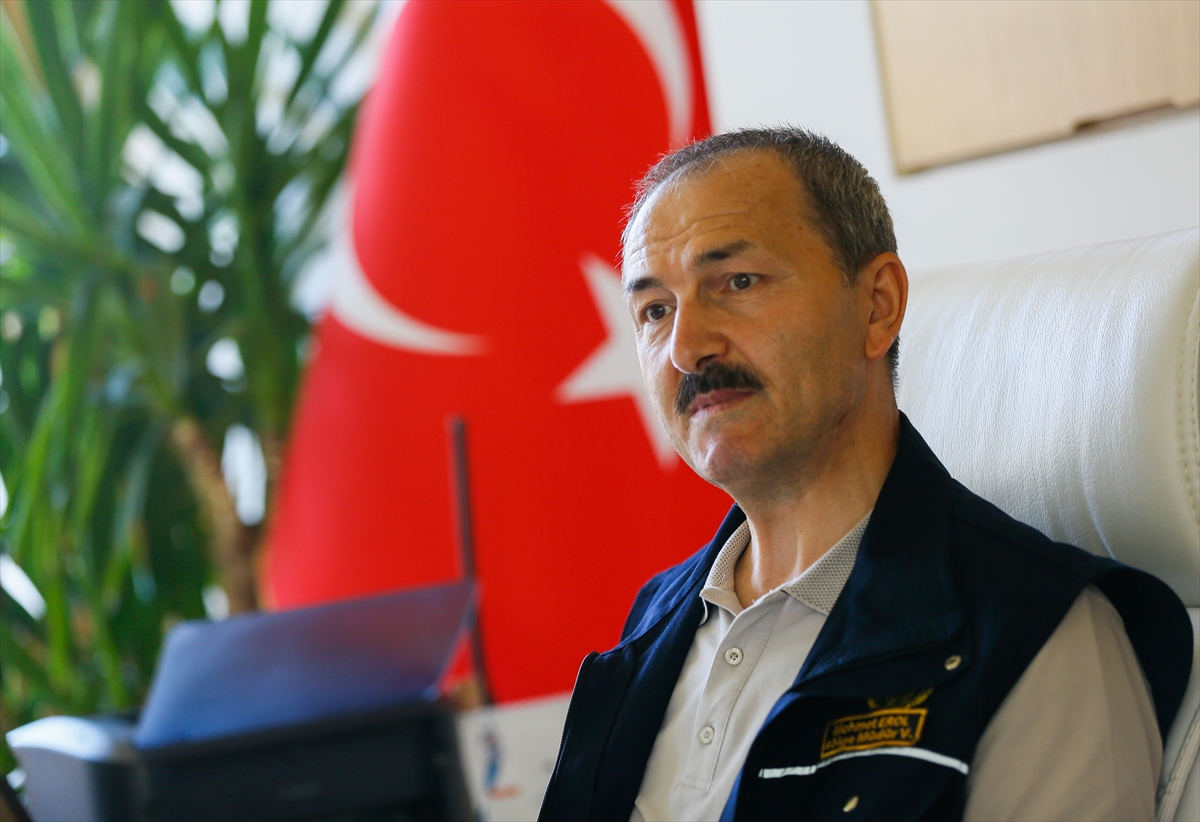 Ormanlarda büyük tehlike