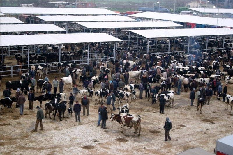 Ödemiş’te kurban satış ve kurban kesim yerleri belli oldu