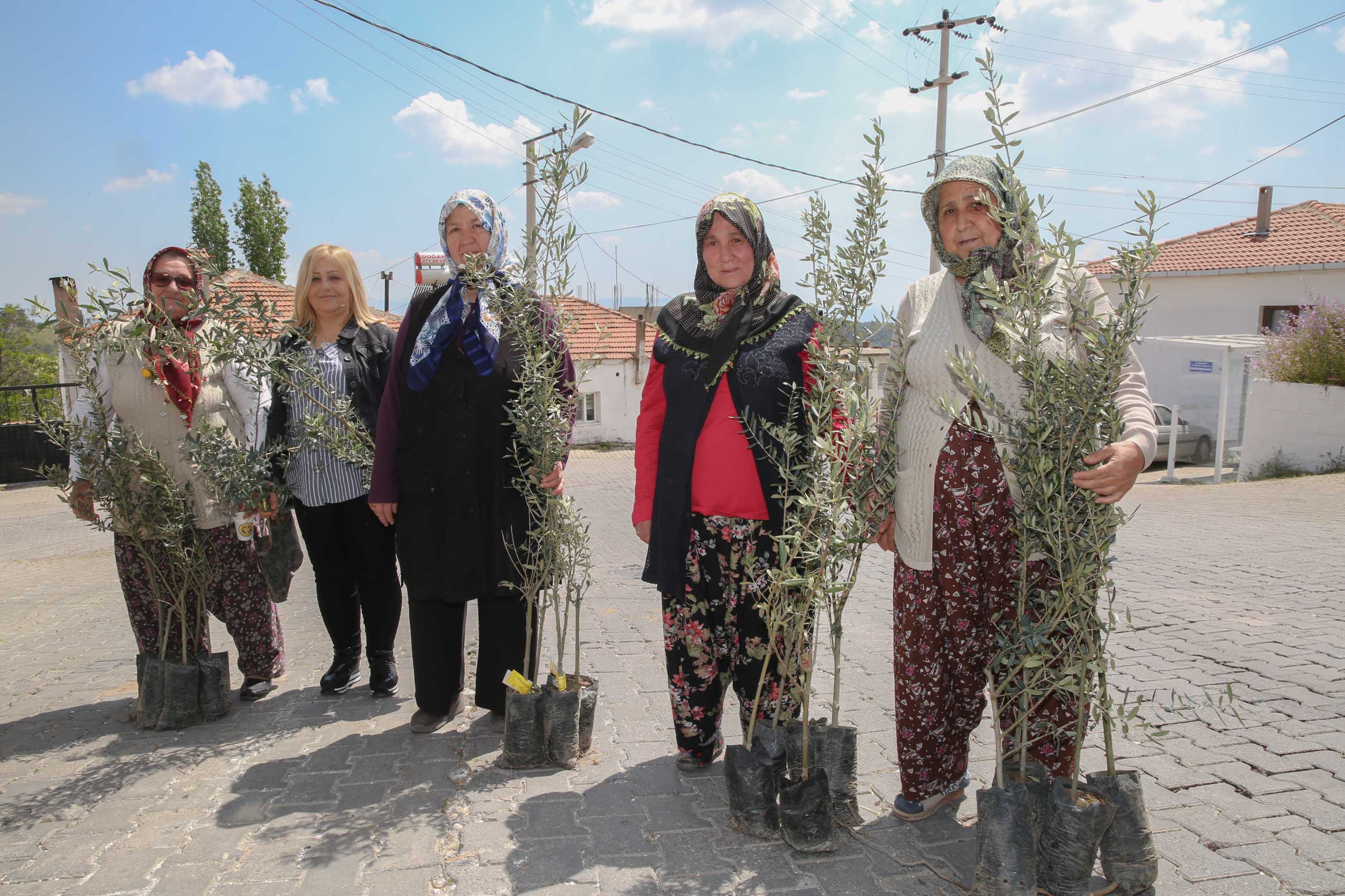 Buca köylerinde zeytin seferberliği
