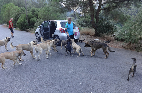 Haldun Kırkık, Balçova Belediyesi Başkanı Çalkaya'ya seslendi: Terapi Ormanı'ndaki hayvanlar aç!