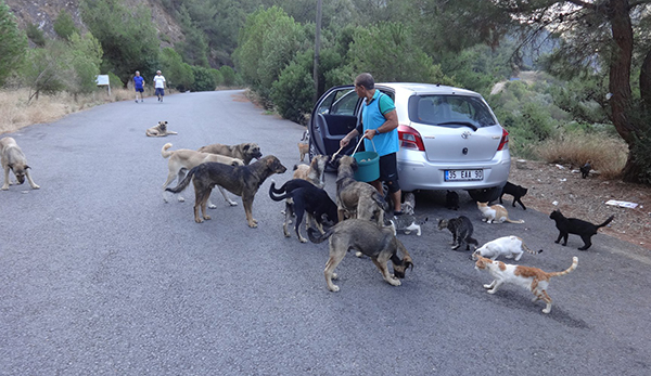 Haldun Kırkık, Balçova Belediyesi Başkanı Çalkaya'ya seslendi: Terapi Ormanı'ndaki hayvanlar aç!