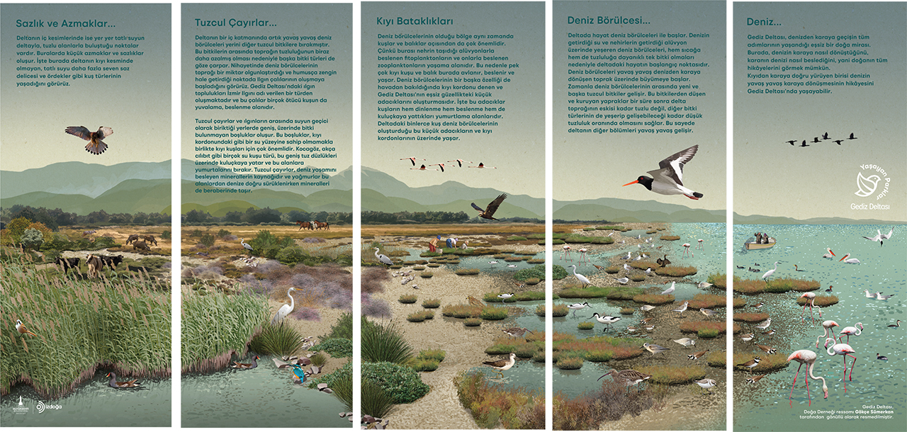 “Doğa Şehirde” projesi Mavişehir Balıkçı Barınağı’ndan başladı