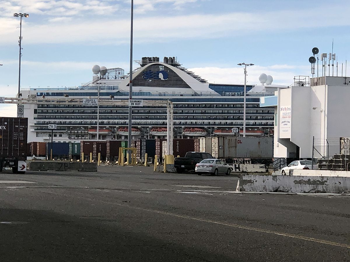 Türkiye'den ABD'ye giden kadında virüs çıktı...