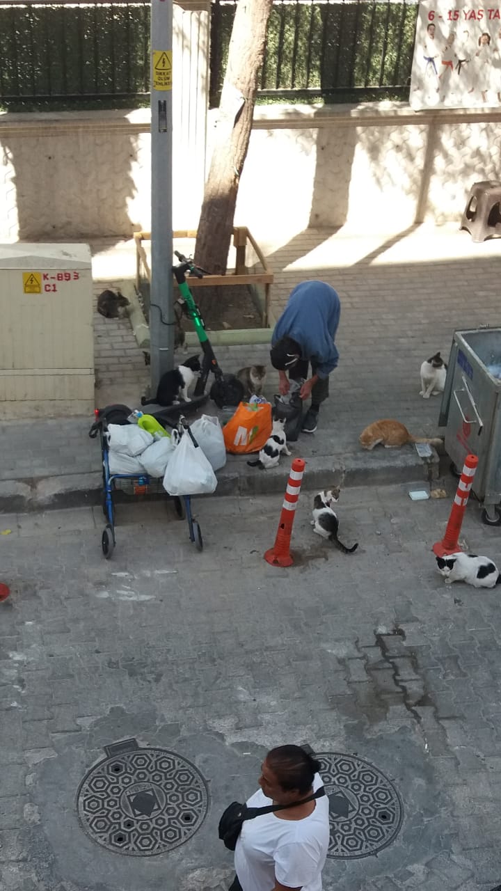 Abidin Tekin'in kaleminden...