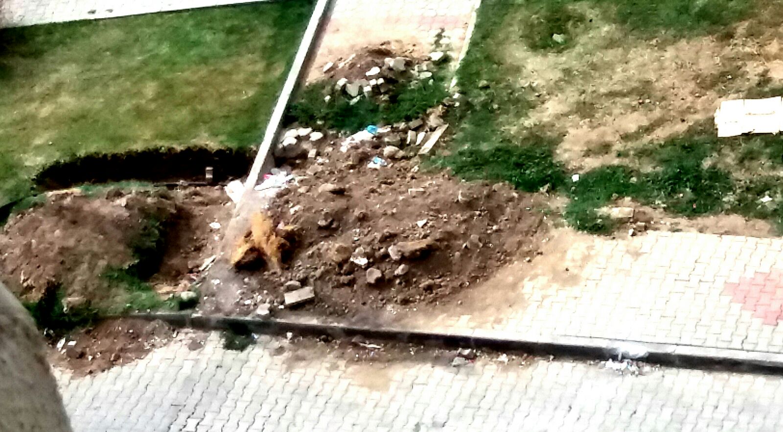 Bakımsızlıktan serseri yuvası oldu