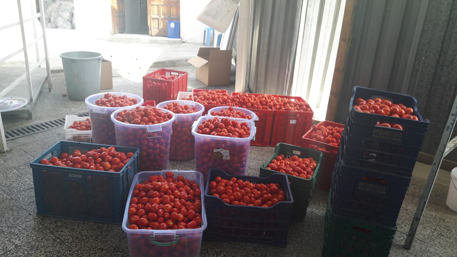 YARALARA MERHEM OLUYORLAR…