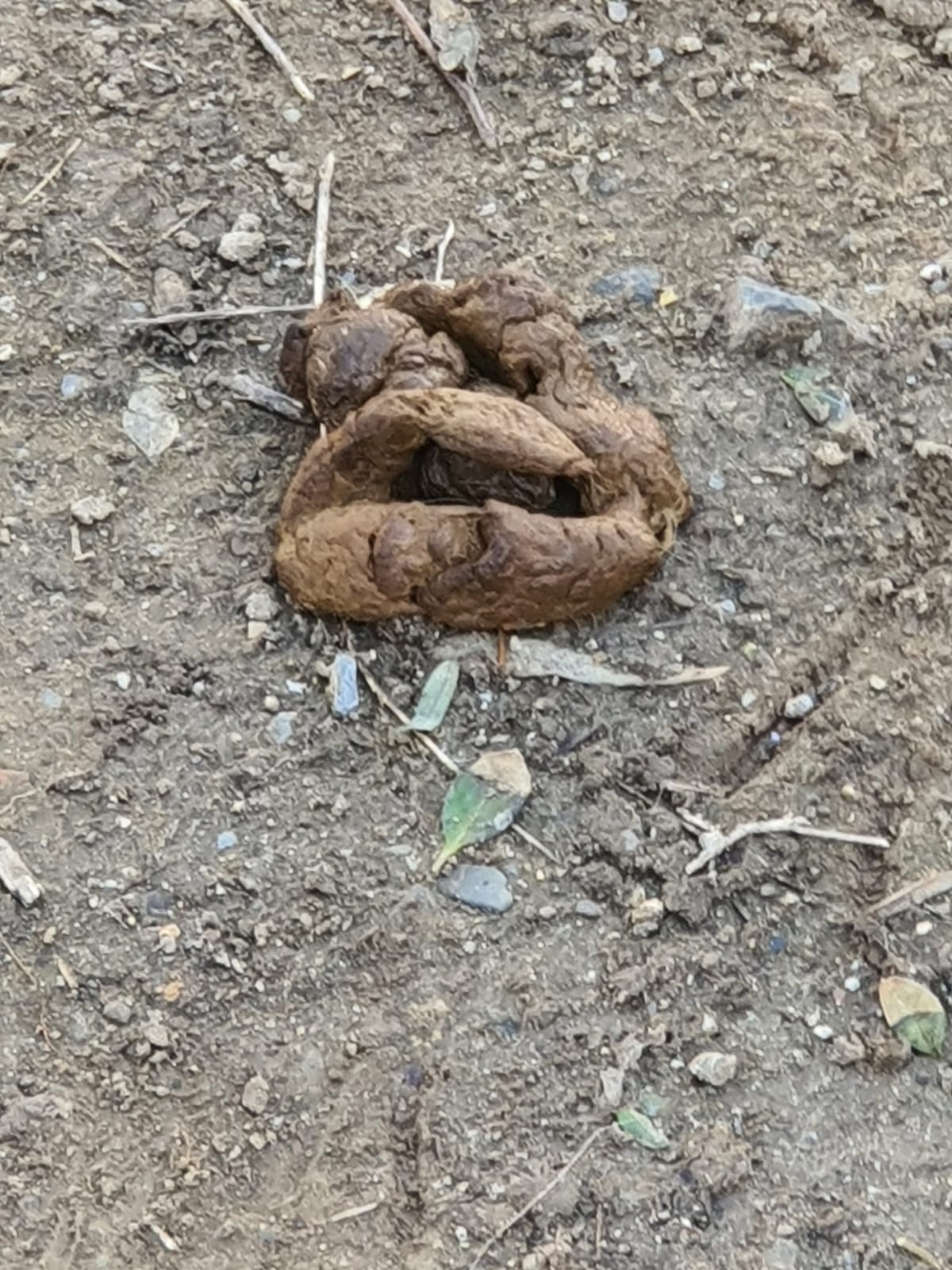 Salih Erkek Yazdı...