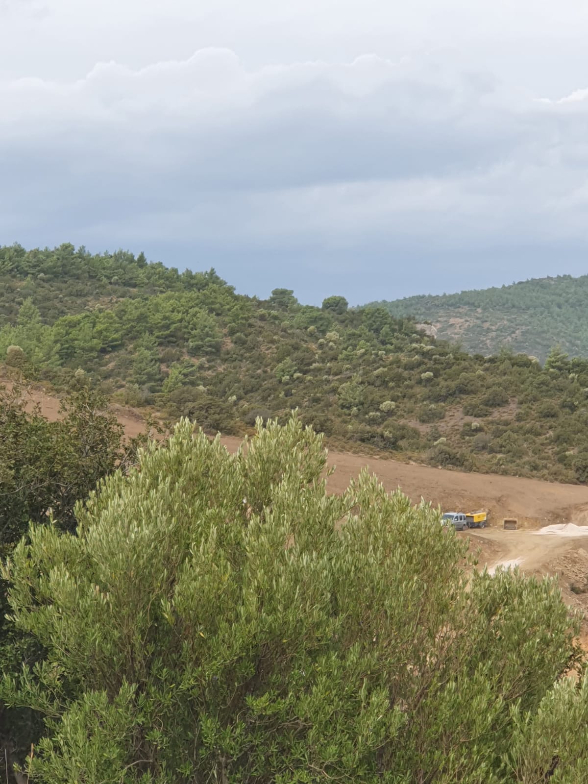 Salih Erkek Yazdı... DEVLET BAHÇELİ'Yİ DAVET EDİYORUM