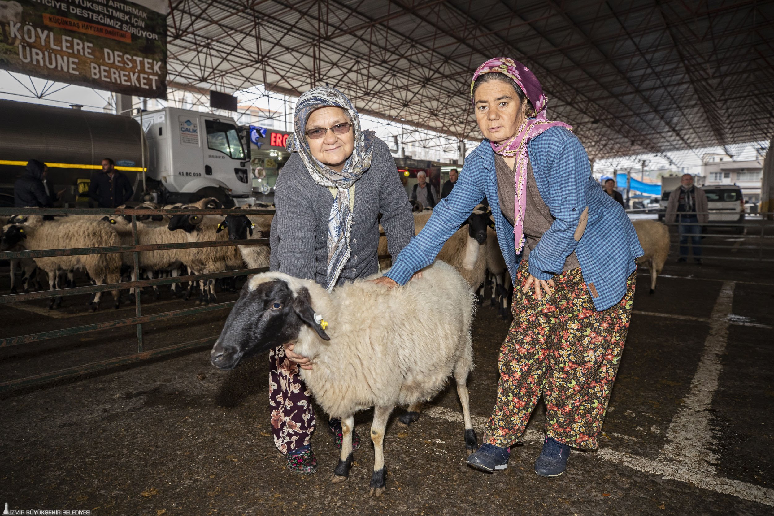 Torbalı'da çiftçilere 173 hayvan dağıtıldı