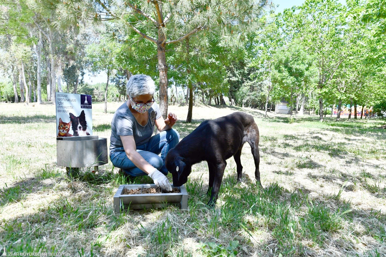 Pandemide can dostlara toplam 221 ton mama