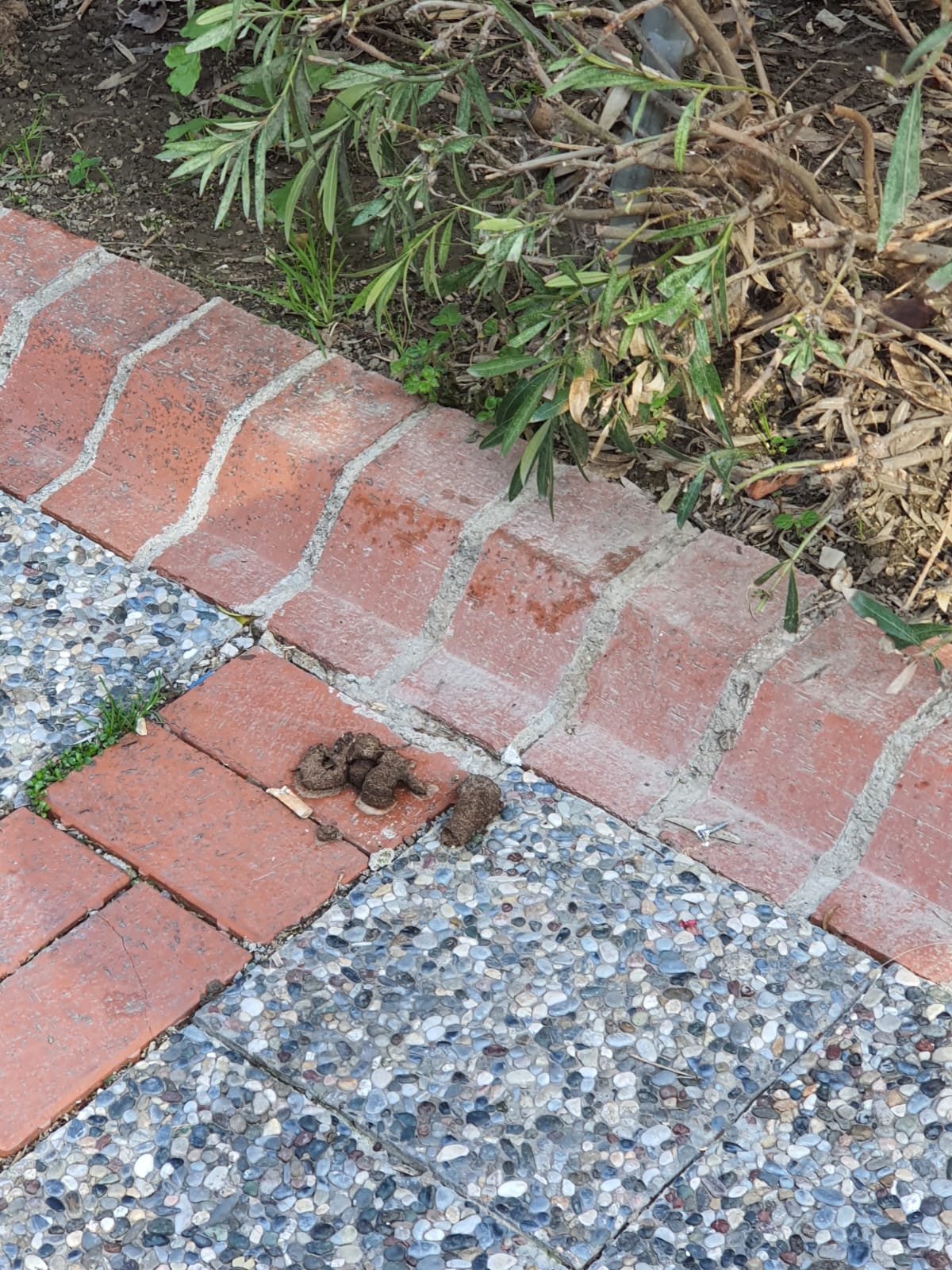 Salih Erkek Yazdı...