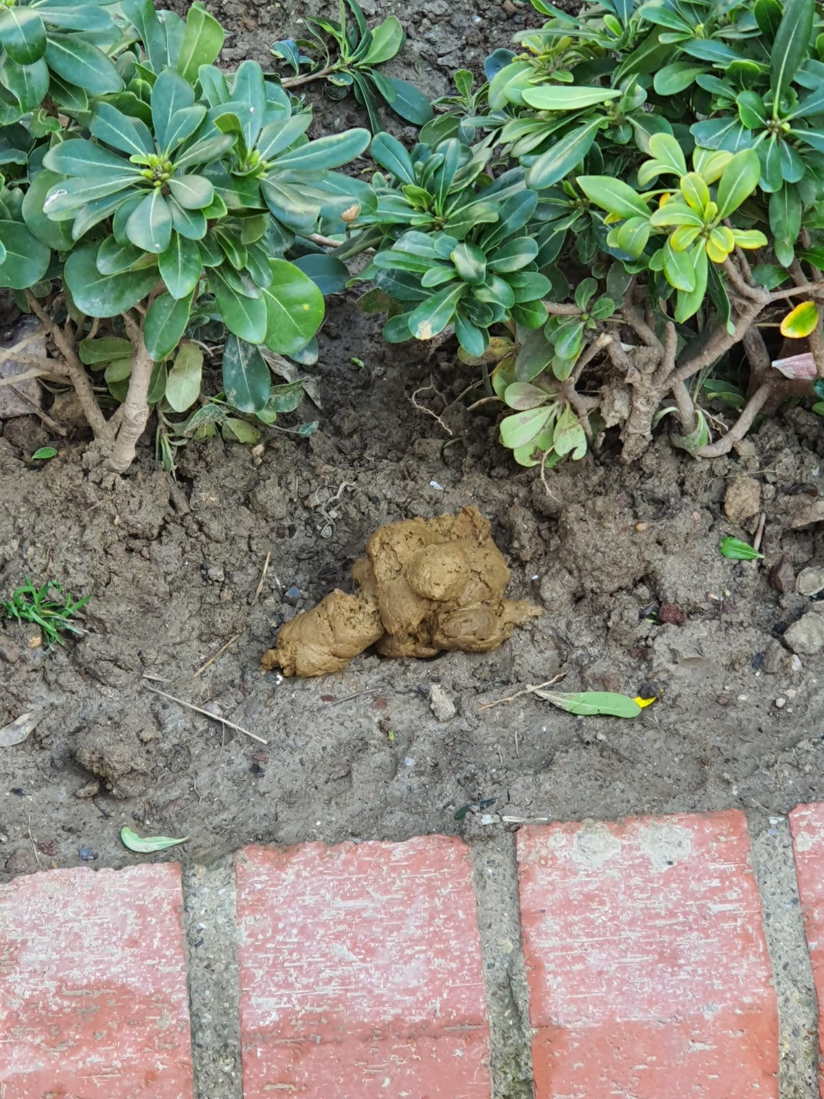 Salih Erkek Yazdı...