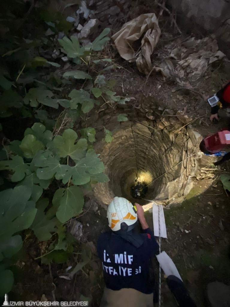 Bir aydır kayıp olan Pamuk’u İzmir İtfaiyesi sahibine kavuşturdu