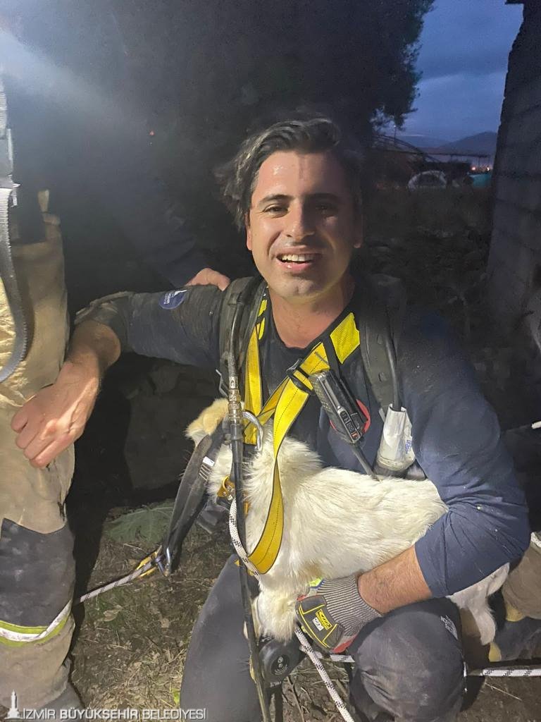 Bir aydır kayıp olan Pamuk’u İzmir İtfaiyesi sahibine kavuşturdu