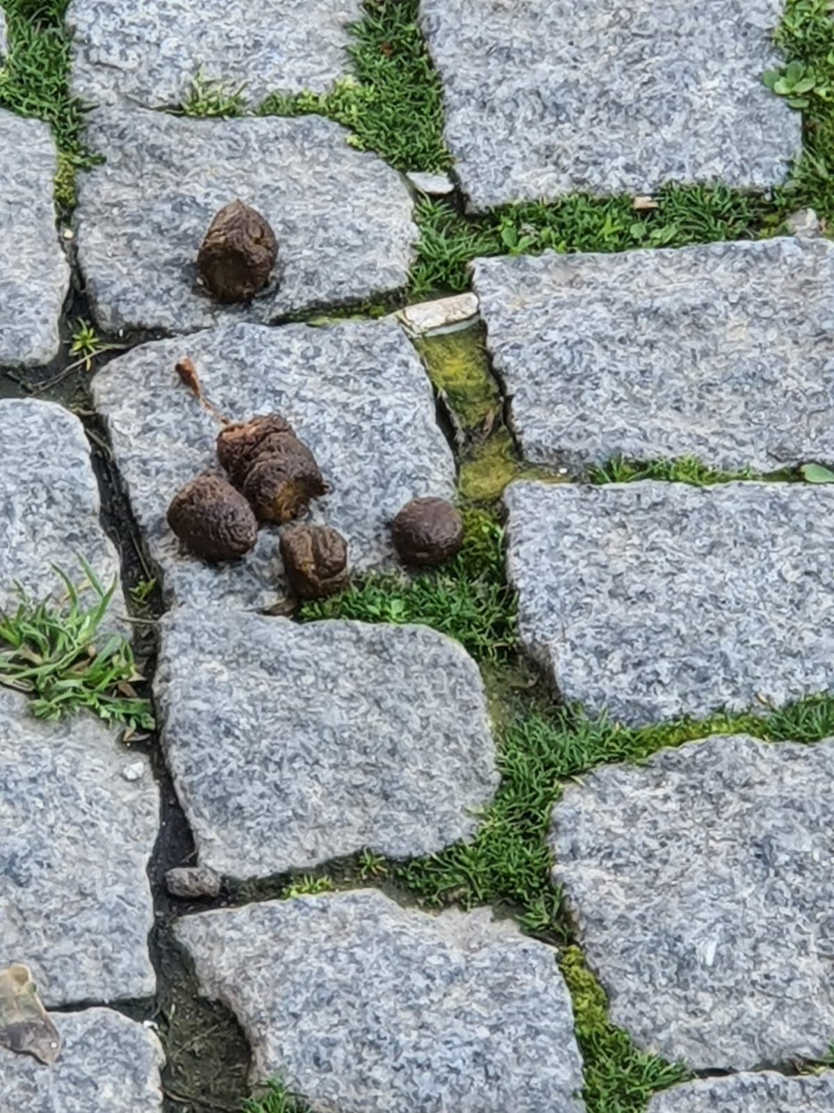 Salih Erkek Yazdı...