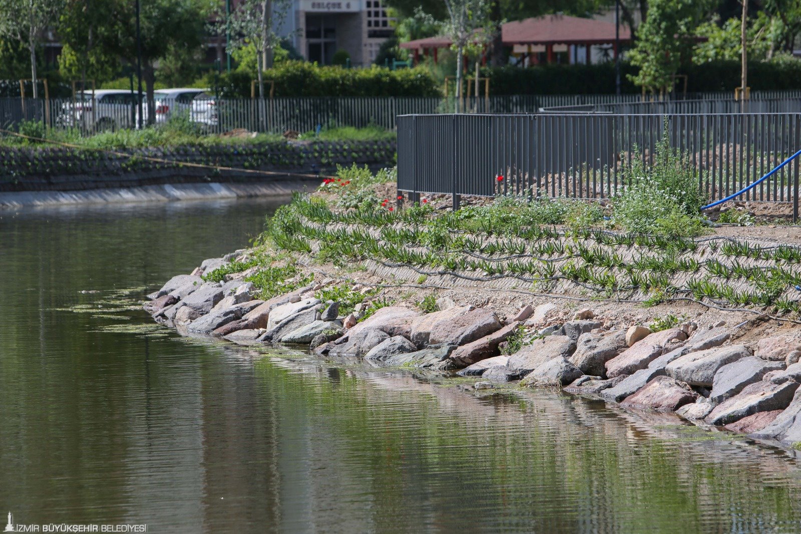 Peynircioğlu Deresi’nde ezber bozan ıslah projesi