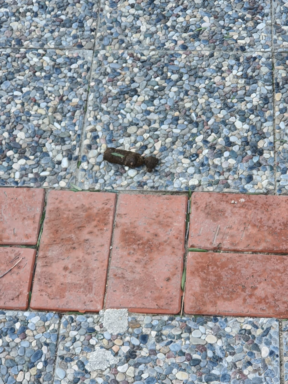 Salih Erkek Yazdı...